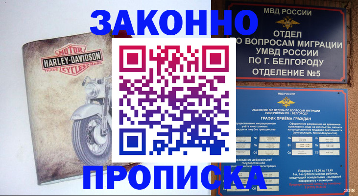прописка для школы в Плавске
